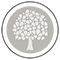 Treetop Cottage Logo